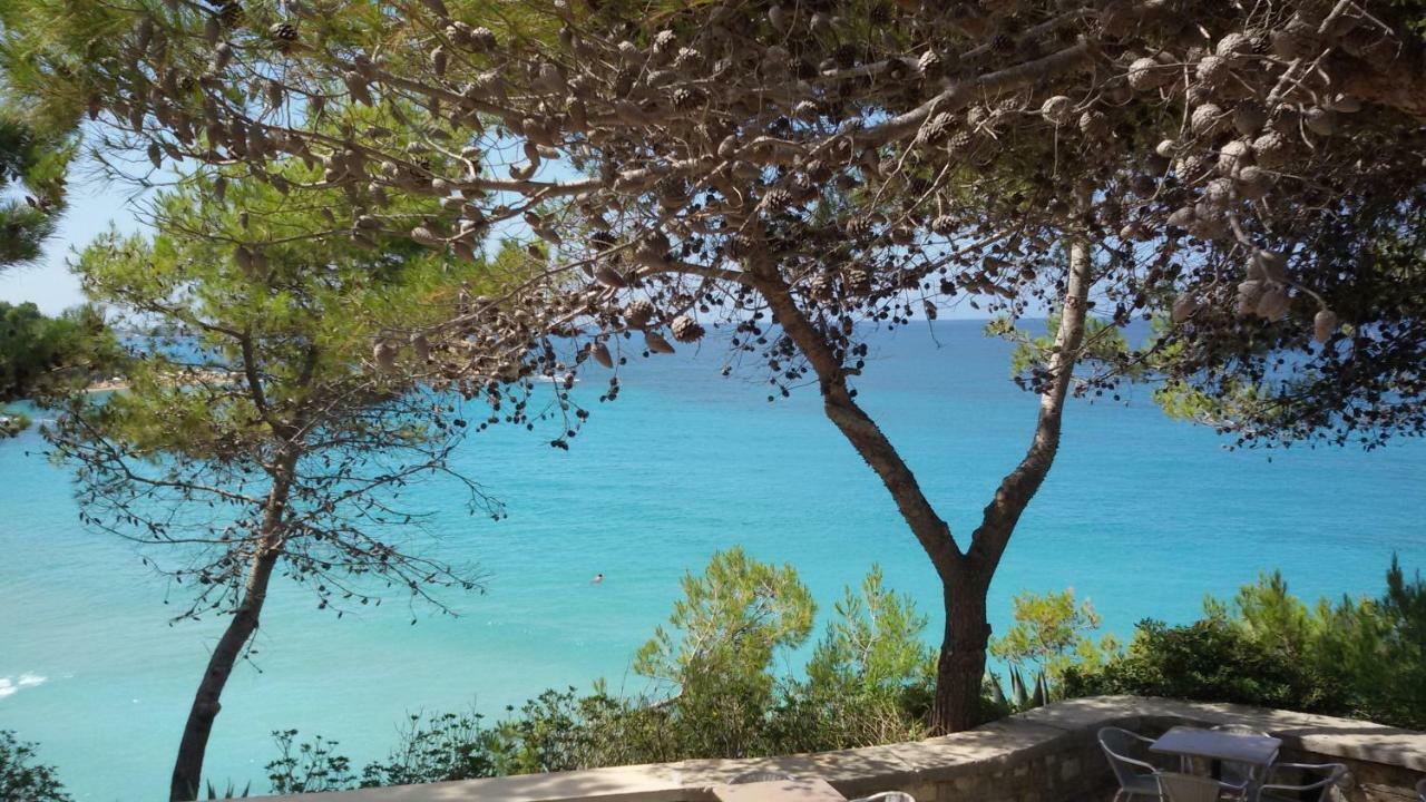 Artemis Superb 2 Bedroom Apartment 700 M Away From The Beach Minia المظهر الخارجي الصورة